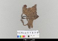 藏品(中國湖北皮影戲偶頭-唐三藏)的圖片